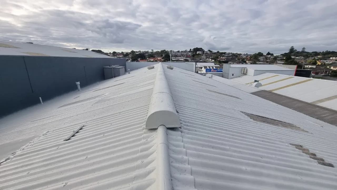 Moss removal and coating — after