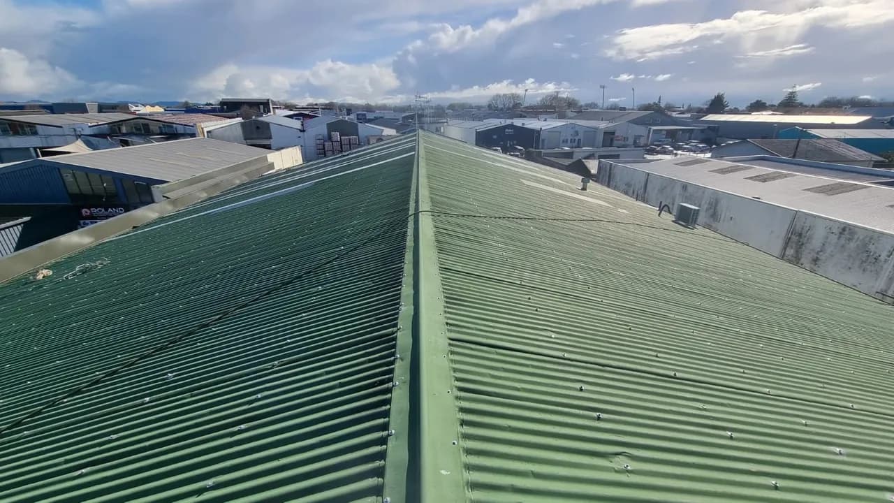Moss removal and coating — before